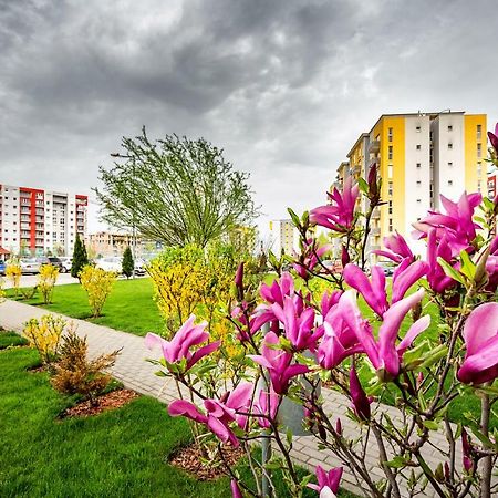 Belle View Apartment Braşov Dış mekan fotoğraf